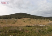 Rural estate for sale in Fuente el Fresno ref: TR386547 photo