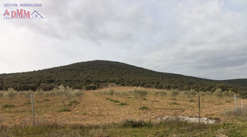 Ciudad Real - Фуэнте-эль-Фресно - 160000m2