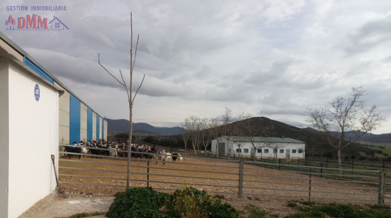 Ciudad Real - Фуэнте-эль-Фресно - 160000m2