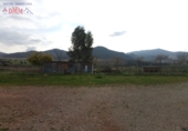 Rural estate for sale in Fuente el Fresno ref: TR386547 photo
