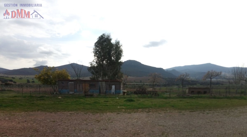 Ciudad Real - Фуэнте-эль-Фресно - 160000m2