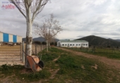 Rural estate for sale in Fuente el Fresno ref: TR386547 photo