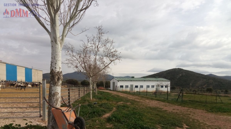 Ciudad Real - Фуэнте-эль-Фресно - 160000m2