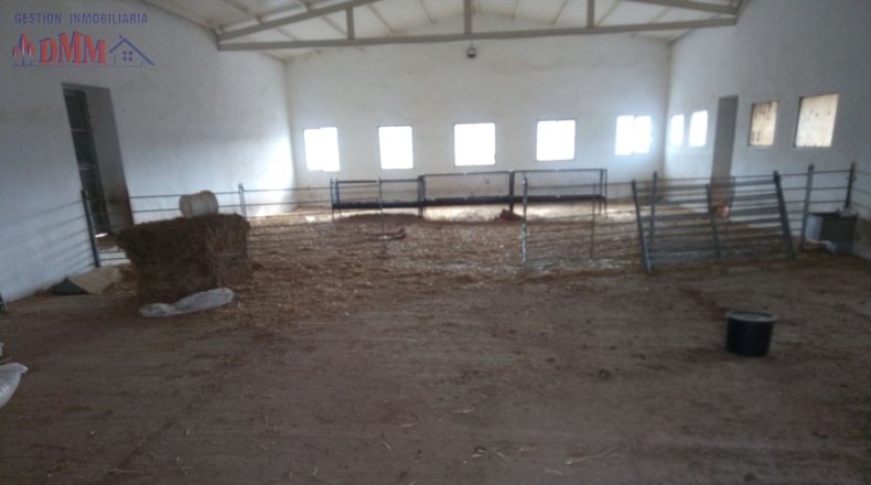 Ciudad Real - Фуэнте-эль-Фресно - 160000m2