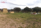 Rural estate for sale in Fuente el Fresno ref: TR386547 photo