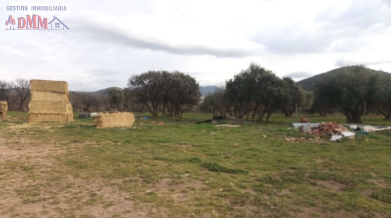 Ciudad Real - Фуэнте-эль-Фресно - 160000m2