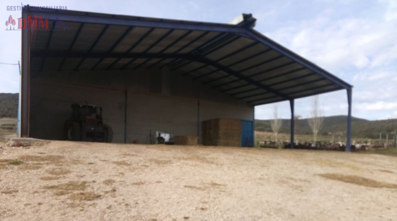 Ciudad Real - Фуэнте-эль-Фресно - 160000m2
