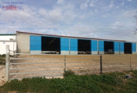 Foto 17