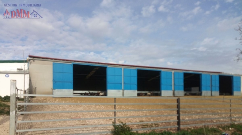 Ciudad Real - Фуэнте-эль-Фресно - 160000m2