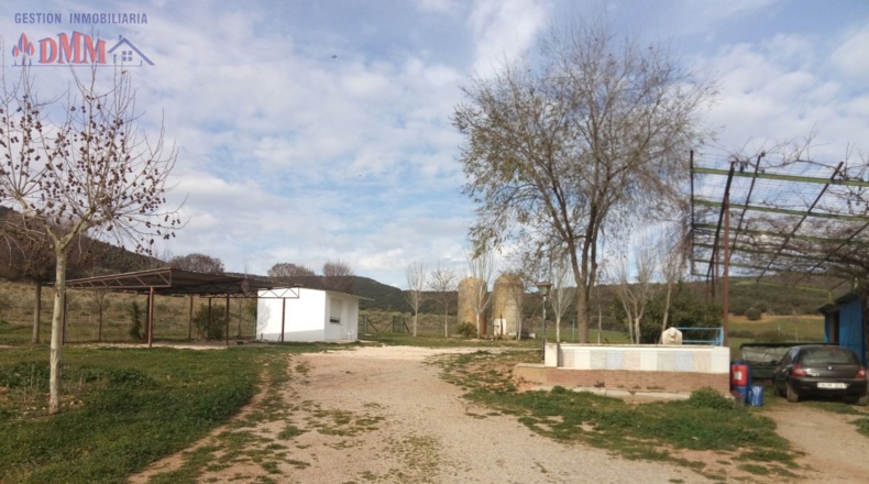 Ciudad Real - Фуэнте-эль-Фресно - 160000m2