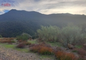 Rural estate for sale in Mestanza ref: TR386304 photo