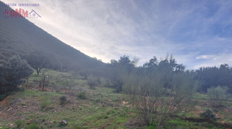 Ciudad Real - Mestanza - 6000000m2