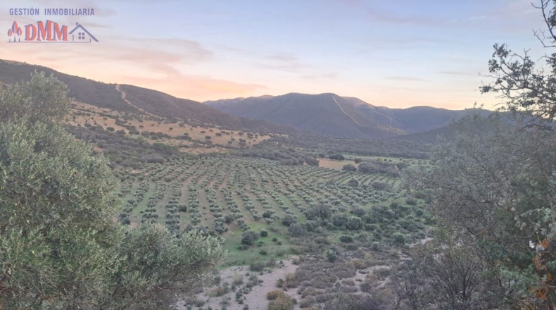 Ciudad Real - Mestanza - 6000000m2