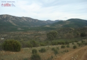 Rural estate for sale in Mestanza ref: TR386304 photo