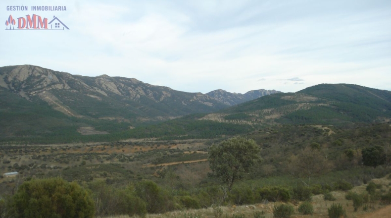 Ciudad Real - Mestanza - 6000000m2