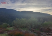 Rural estate for sale in Mestanza ref: TR386304 photo