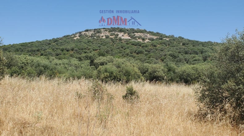 Ciudad Real - Ciudad Real - 1000000m2