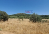 Non-developable land for sale in Ciudad Real ref: TR386294 photo
