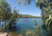 Non-developable land for sale in Ciudad Real ref: TR386294 photo