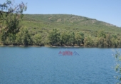 Non-developable land for sale in Ciudad Real ref: TR386294 photo