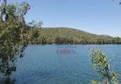 Non-developable land for sale in Ciudad Real ref: TR386294 photo