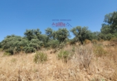 Non-developable land for sale in Ciudad Real ref: TR386294 photo
