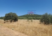 Non-developable land for sale in Ciudad Real ref: TR386294 photo