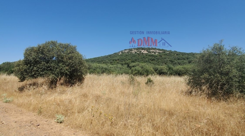 Ciudad Real - Ciudad Real - 1000000m2