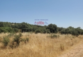 Non-developable land for sale in Ciudad Real ref: TR386294 photo