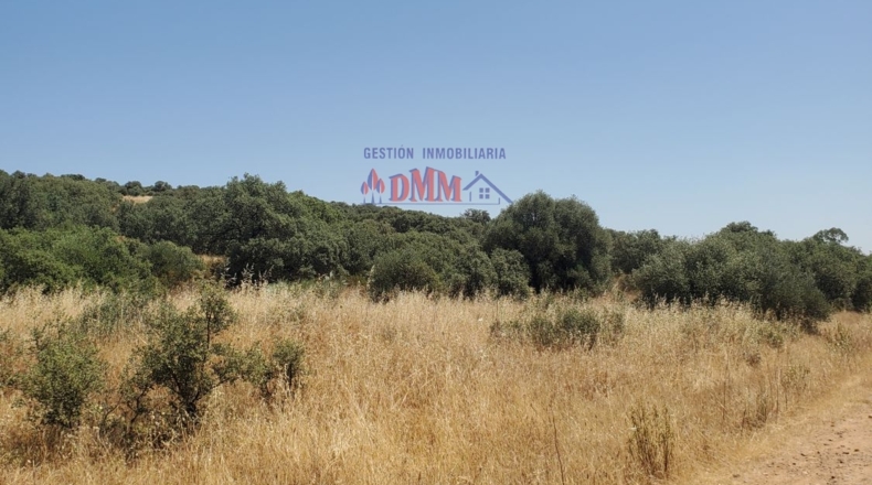 Ciudad Real - Ciudad Real - 1000000m2