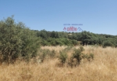 Non-developable land for sale in Ciudad Real ref: TR386294 photo