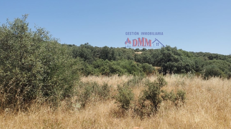 Ciudad Real - Ciudad Real - 1000000m2