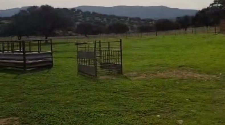 Badajoz - Badajoz - 80000m2