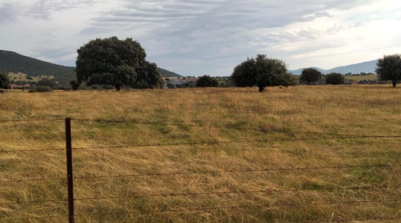 Badajoz - Badajoz - 80000m2