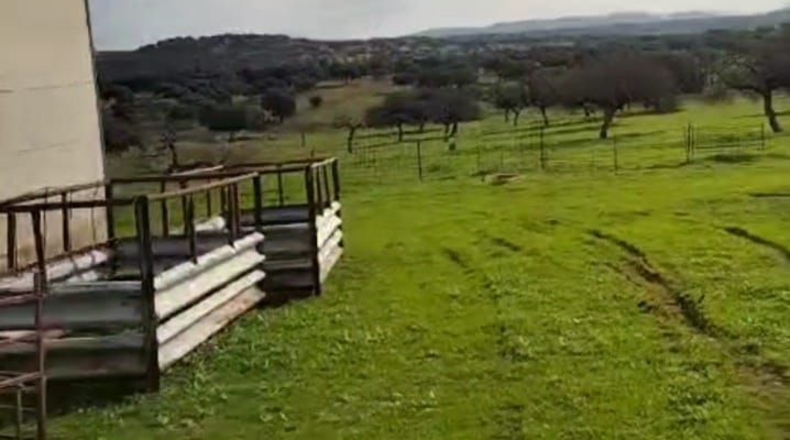 Badajoz - Badajoz - 80000m2