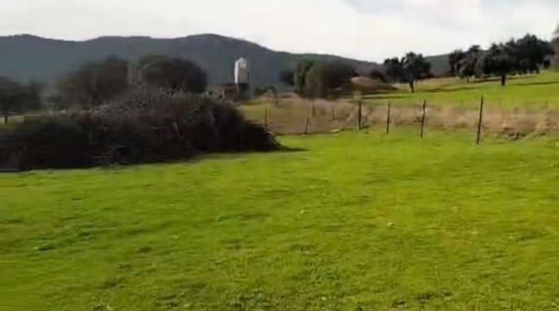 Badajoz - Badajoz - 80000m2