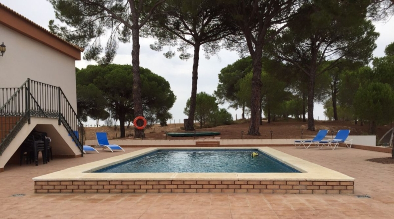 Huelva - Villarrasa - 31000m2