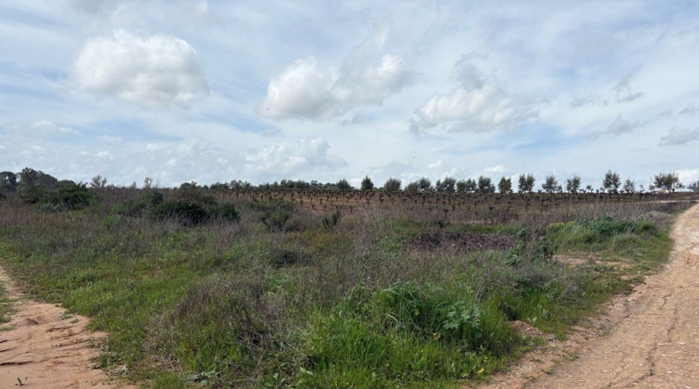 Huelva - Bollullos Par del Condado - 2700m2