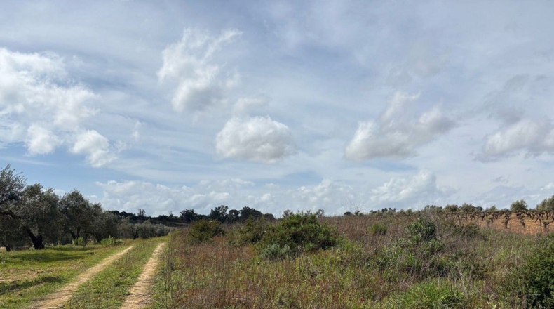 Huelva - Bollullos Par del Condado - 2700m2
