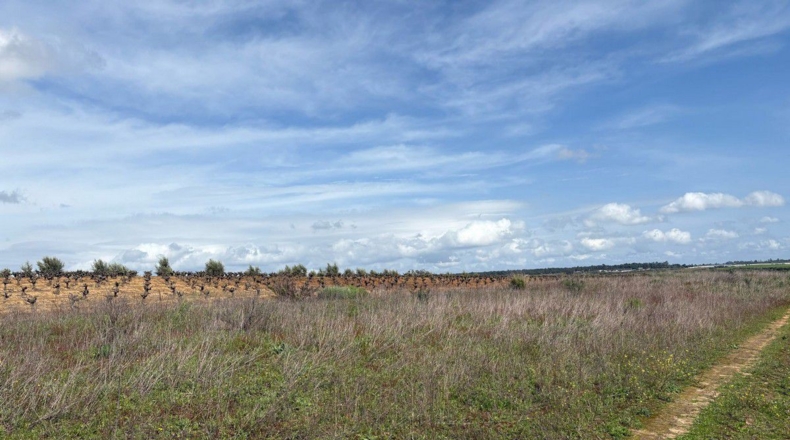 Huelva - Bollullos Par del Condado - 2700m2