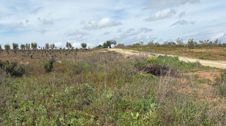 Huelva - Bollullos Par del Condado - 2700m2
