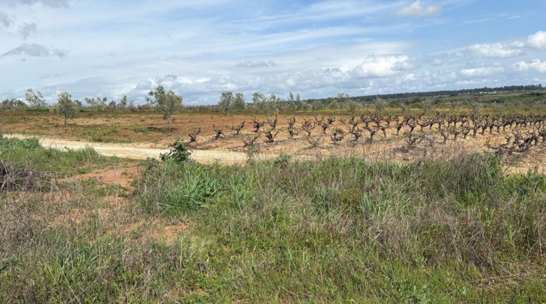 Huelva - Bollullos Par del Condado - 2700m2