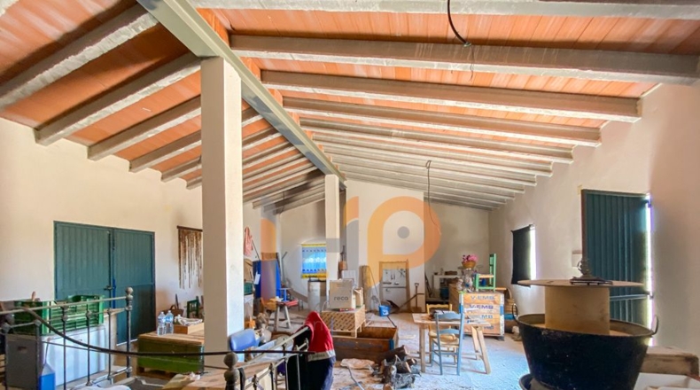 Almería - Huércal-Overa - 12000m2