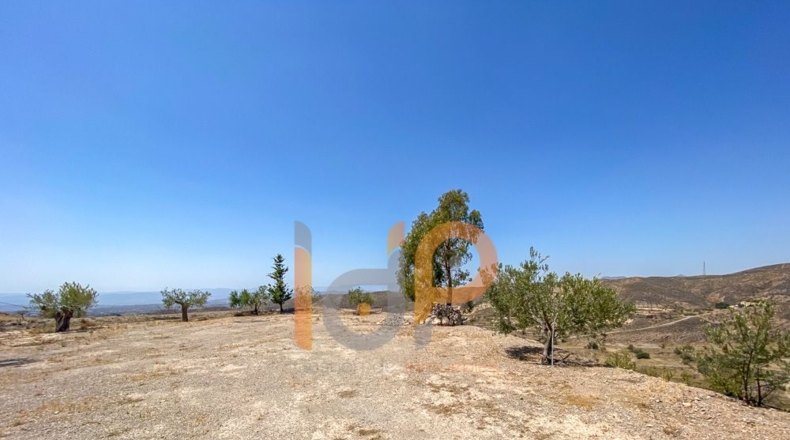 Almería - Huércal-Overa - 12000m2