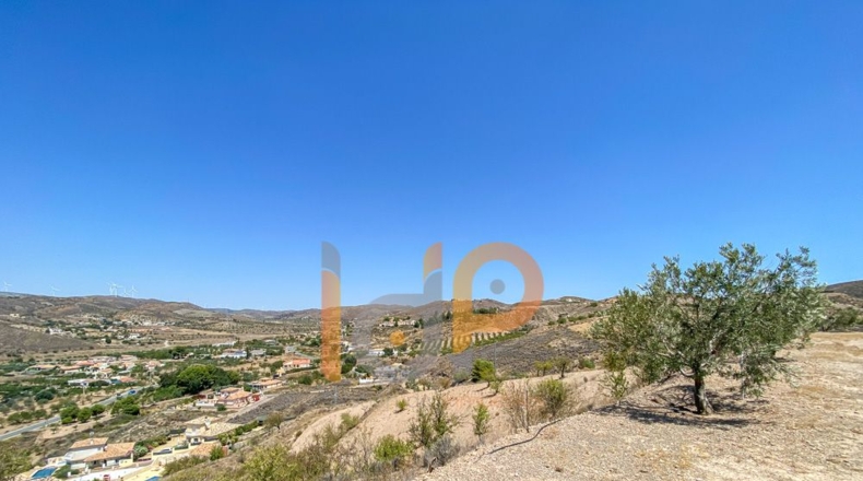 Almería - Huércal-Overa - 12000m2