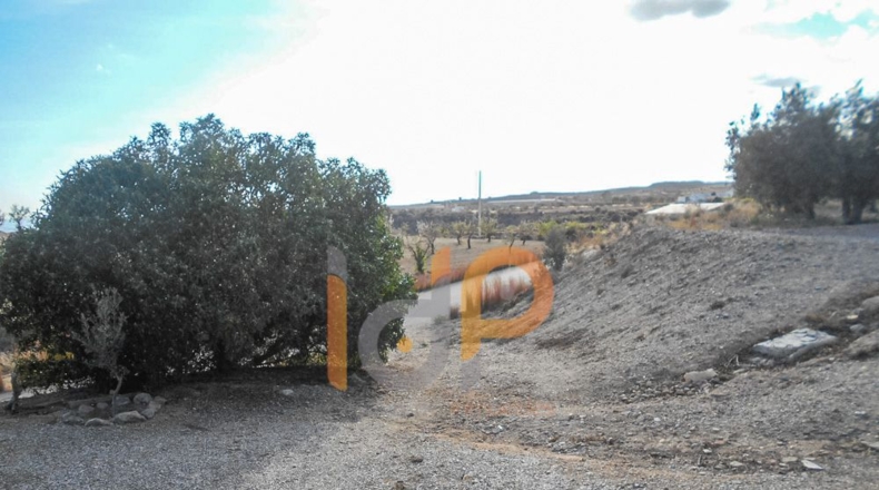 Murcia - Puerto Lumbreras - 15000m2