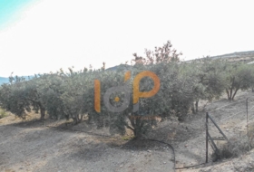 Puerto Lumbreras 15000&nbsp;m² 