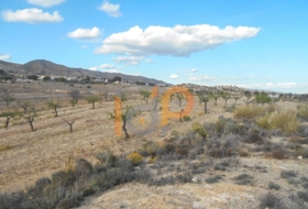 Puerto Lumbreras 15000&nbsp;m² 