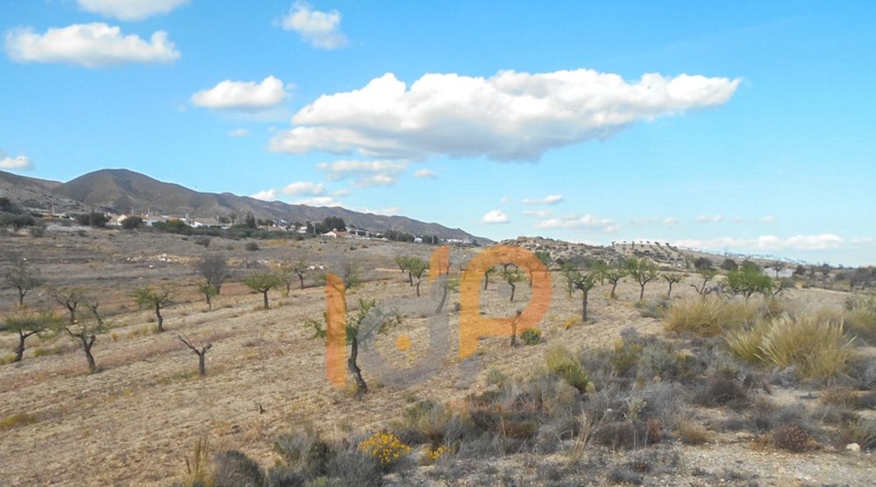 Murcia - Puerto Lumbreras - 15000m2