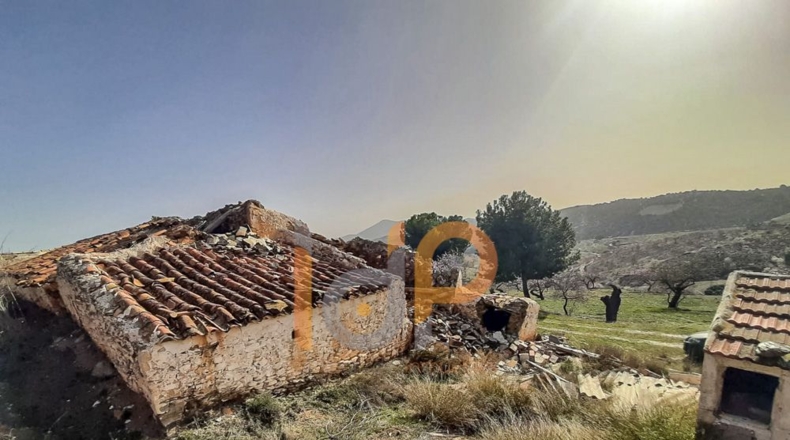 Almería - Vélez-Rubio - 41800m2